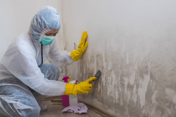 Best Mold Prevention Services  in La Honda, CA