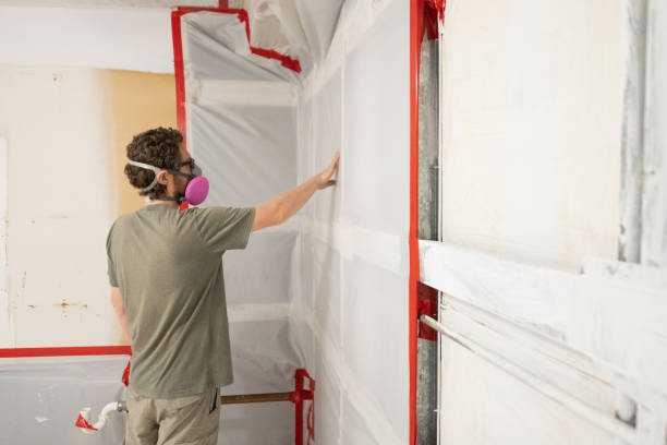 Trusted La Honda, CA Mold Removal Experts