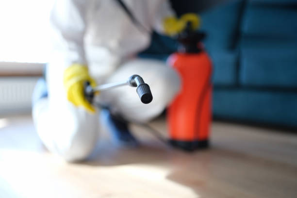 Mold Remediation for Vacation Homes in La Honda, CA